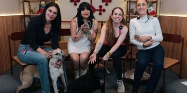 Es mejor adoptar’’: Claudia Sheinbaum destaca la importancia de rescatar animales en situación de calle