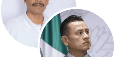 Pluma: Libre Las ilógicas decisiones del Morena