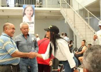 Será una prioridad garantizar debidamente los derechos de las madres trabajadoras: Araceli Saucedo