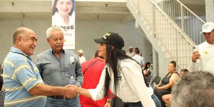 Será una prioridad garantizar debidamente los derechos de las madres trabajadoras: Araceli Saucedo