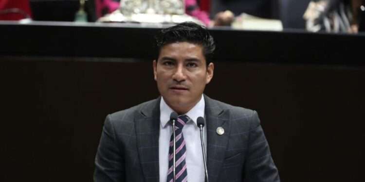 El futuro del maguey en México peligra: urge una ley federal para su protección