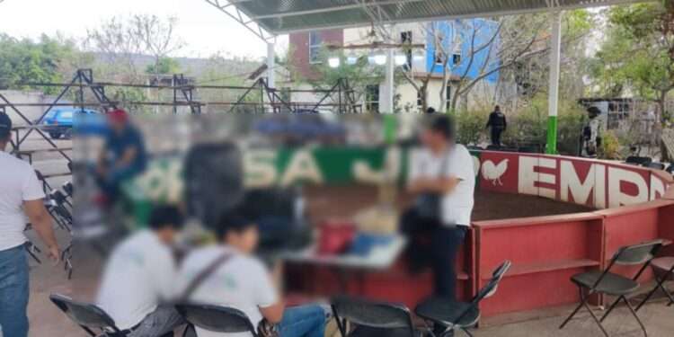 Desmantelan palenque clandestino en Benito Juárez