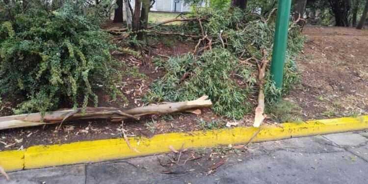 Se pronostican lluvias muy fuertes para Michoacán