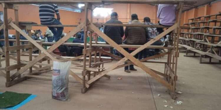 Desmantelan y evitan peleas de gallos en palenque clandestino en Aporo