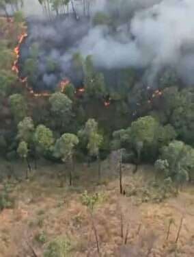 Refuerzan acciones contra incendios activos en Uruapan