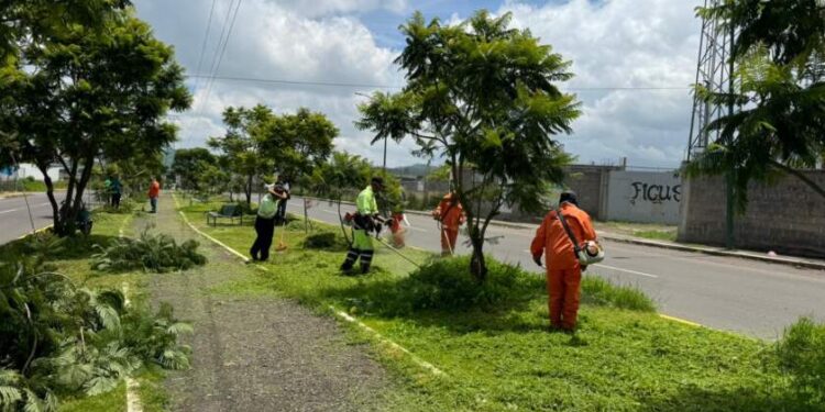 Embellece ayuntamiento camellones de Morelia