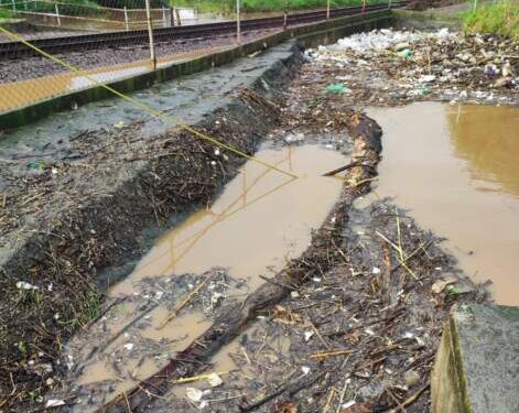Trabaja ayuntamiento de Morelia en limpieza y desazolve de ríos y drenes