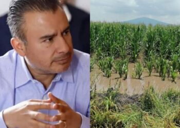 Urge atender a productores agrícolas con sus parcelas inundadas en Michoacán: Fidel Calderón Torreblanca