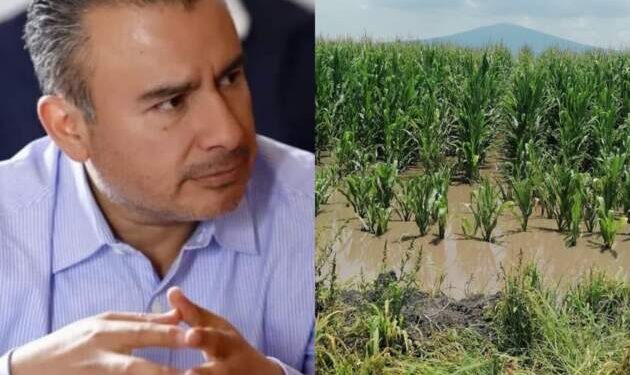 Urge atender a productores agrícolas con sus parcelas inundadas en Michoacán: Fidel Calderón Torreblanca