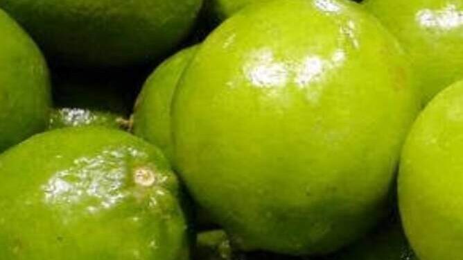 Crisis en la Producción de Limón en Michoacán