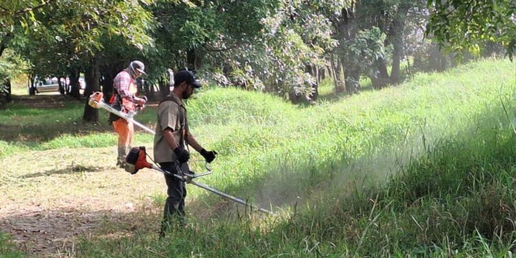 Gobierno de Morelia lleva jornadas de limpieza integral a parque Arboretum