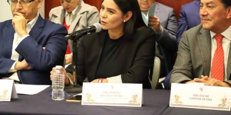 Araceli Saucedo integra comisión de Hacienda y Crédito Público en el Senado de la República