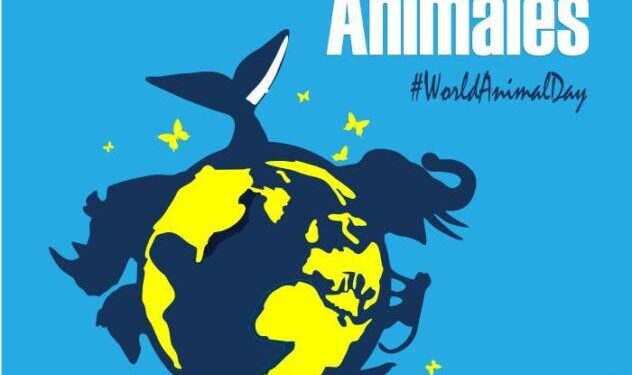 Maltrato animal en Michoacán se dispara 40% en un año; 99% de los casos quedan impunes, denuncian asociaciones