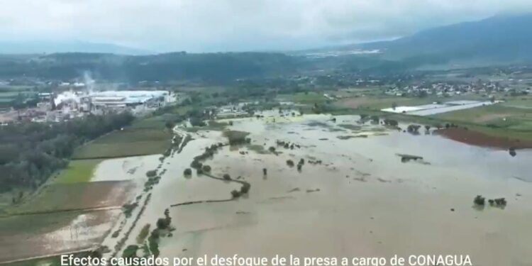 Responsabilizan a CONAGUA por 130 ha. dañadas del Ejido de la Tenencia Morelos al desfogar la presa de Cointzio