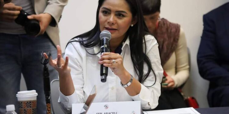 Aumentar penas contra feminicidas en todo el país plantea Araceli Saucedo