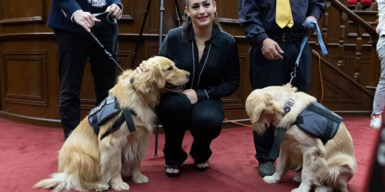 Impulsa Sandra Arreola reforma en favor de las personas con discapacidad en la entidad
