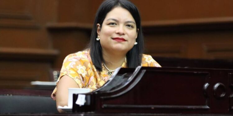 Propone Eréndira Isauro iniciativa para agilizar y transparentar las obras públicas en Michoacán