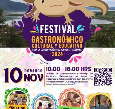 Convocan a festival para la conservación del Achoque