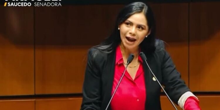 Desde el Senado aportamos a fortalecer la seguridad en el país: Araceli Saucedo Reyes