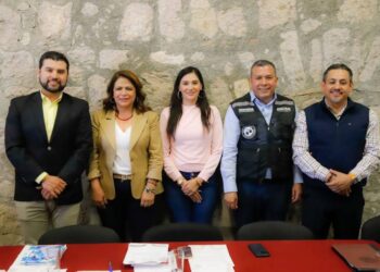 Proceso electoral judicial avanza en tiempo y forma: Fabiola Alanís