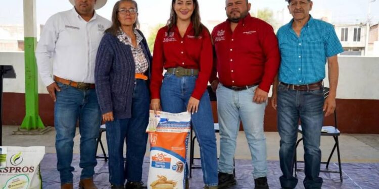Gobierno de Zacapu impulsa agricultura local con entrega de maíz a más de 160 productores: Mónica Valdez