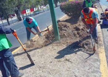 Gobierno de Morelia interviene áreas verdes en zona de las Tarascas
