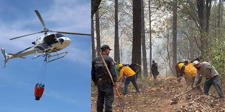 Controlado al 95 % el incendio en el Santuario de la Monarca en Senguio, Michoacán: Cofom