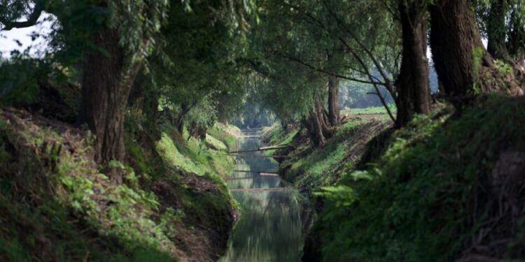 Continúa con éxito rescate y descubrimiento de nuevos manantiales en Pátzcuaro