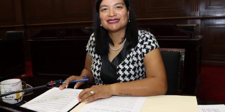 Presenta diputada Eréndira Isauro Hernández iniciativa para sancionar terapias que atenten contra la orientación sexual o identidad de género