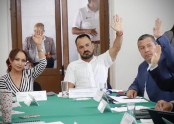Desde la Comisión de Movilidad, Hugo Rangel impulsa medidas para proteger a la niñez