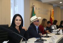 La voz perredista en la capital: El papel del PRD en Morelia bajo la dirección de Lucila Martínez